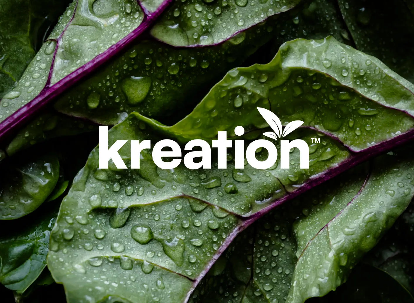 Brand Identity